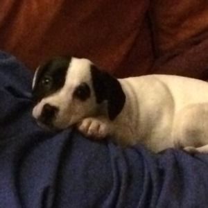 Meet your Posher, Audrey